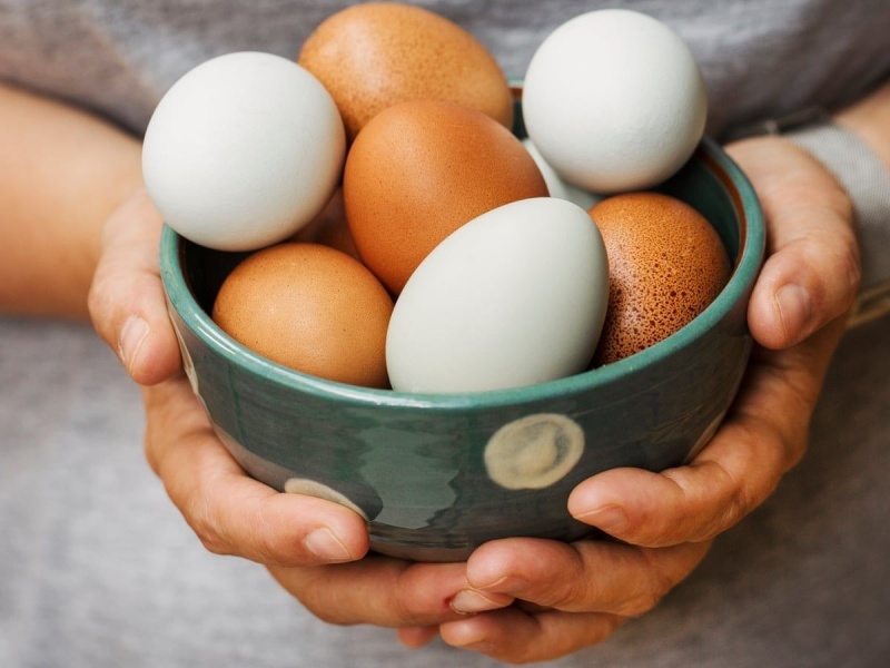 Trứng chứa nhiều protein và như một phần thưởng bổ sung, chúng chứa choline, giúp hỗ trợ trí nhớ.